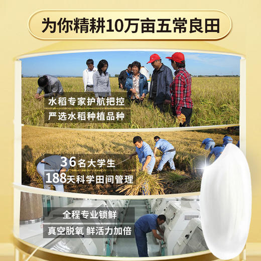 龙稻尚品纯料五常大米稻花香5kg 商品图7