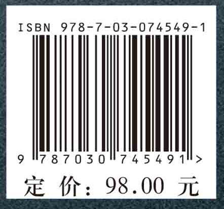 散料搬运刚散耦合系统运动学与动力学 商品图2
