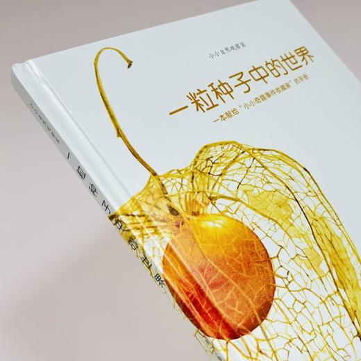 自然科普类绘本：丛林里的四季+一粒种子中的世界 商品图9