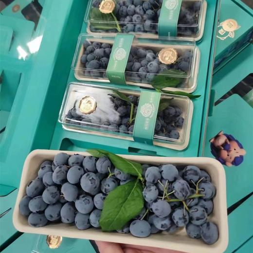 枝冠带枝蓝莓（250g） 商品图0