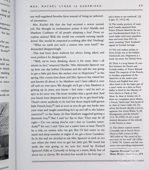 【中商原版】绿山墙的安妮注释版 The Annotated Anne of Green Gables 英文原版 L M Montgomery 大师 经典 文学 商品图7