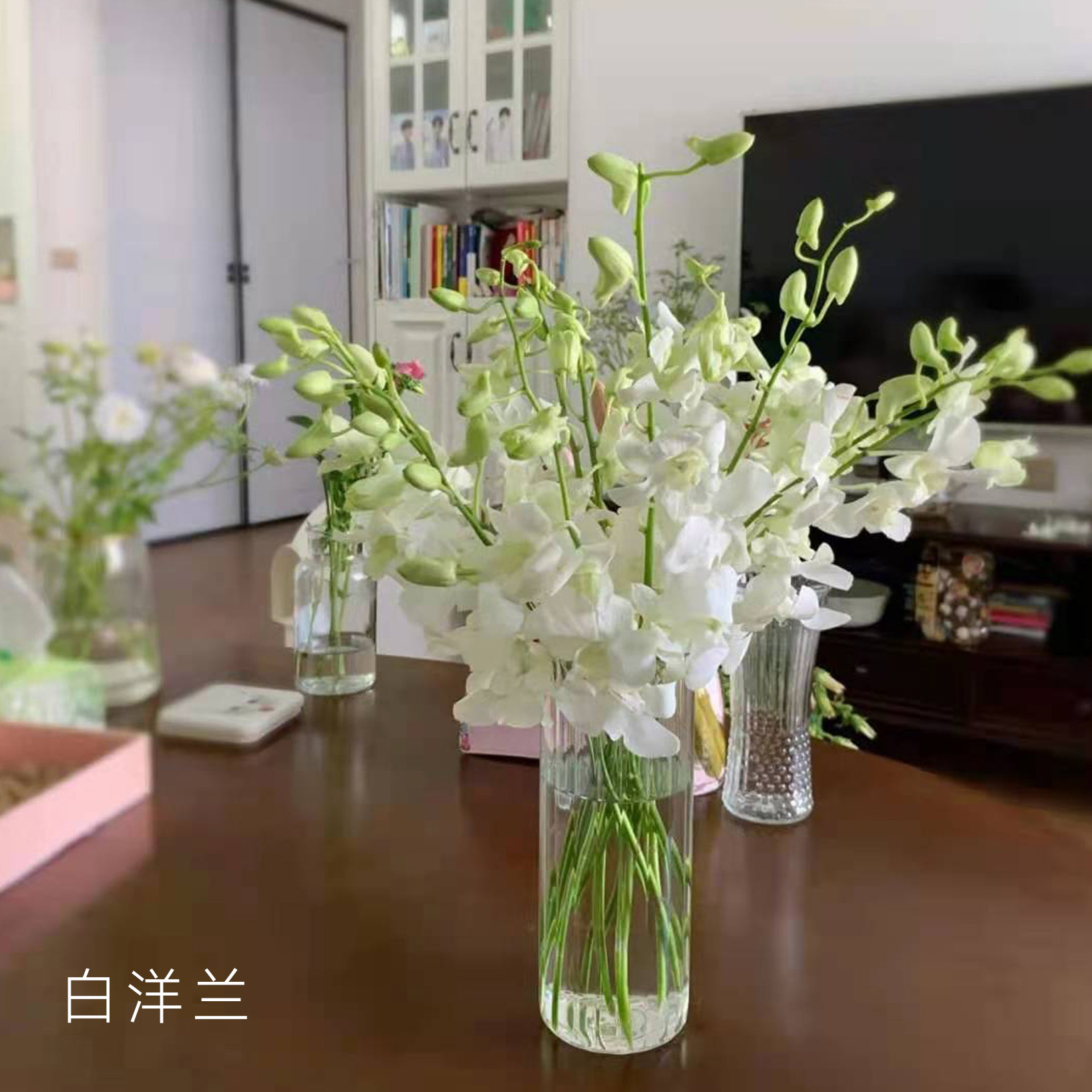 洋兰  白色  12支/扎 以实物为准 云南基地发货（价格已包含包装费用） 运费以实际为准，多退少补。