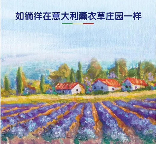 【清仓好价】意大利天然浓缩马赛皂洗衣液1L*2瓶（效期至23.10） 商品图2