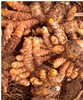 【福建】有机种植新鲜姜黄  每周现挖 带泥未清洗 2.5kg 商品缩略图0