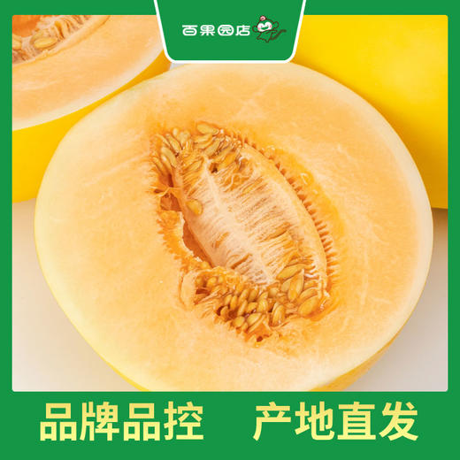 PAGODA百果园 金红宝蜜瓜7斤两粒普通装（大果，单果重≥1.75㎏） 商品图3