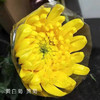 黄白菊 黄菊 10支/扎 颜色深浅略有差异 以实物为准 云南基地发货 （价格已包含包装费用） 运费以实际为准，多退少补。 商品缩略图0