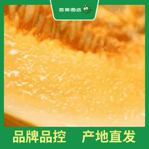 PAGODA百果园 金红宝蜜瓜7斤两粒普通装（大果，单果重≥1.75㎏） 商品图4