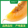 PAGODA百果园 金红宝蜜瓜7斤两粒普通装（大果，单果重≥1.75㎏） 商品缩略图1
