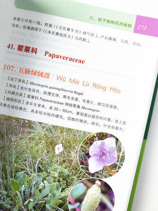 实用中草药彩色图集【张晓燕  谢勇 】 商品图5