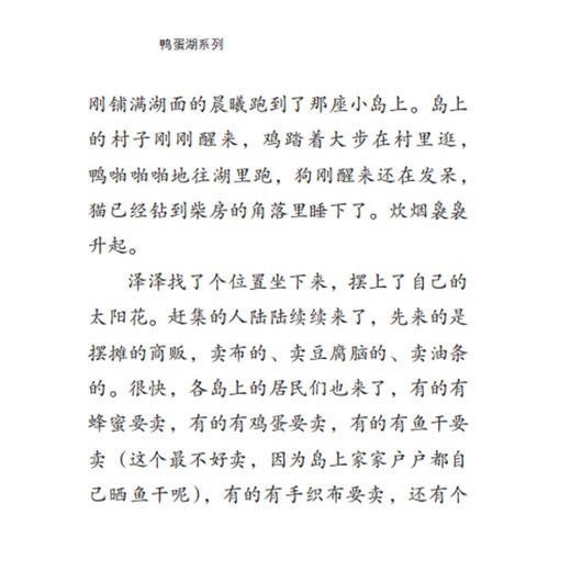 “鸭蛋湖系列”（全8册） 商品图10