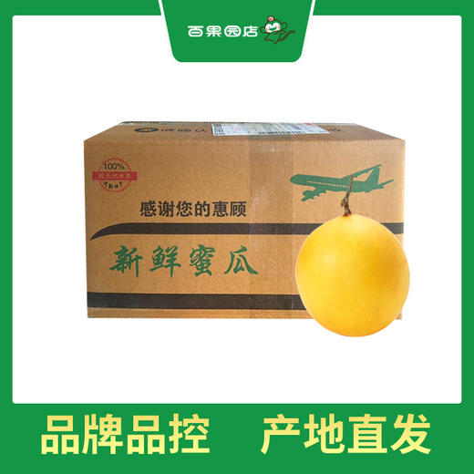 PAGODA百果园 金红宝蜜瓜7斤两粒普通装（大果，单果重≥1.75㎏） 商品图2