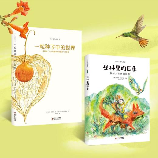 自然科普类绘本：丛林里的四季+一粒种子中的世界 商品图1