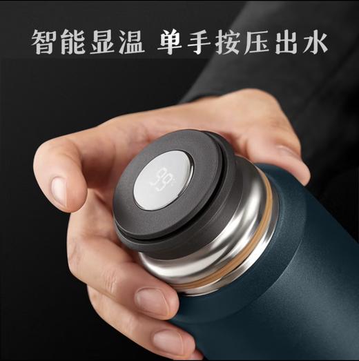 焖大师龙盛随行杯 商品图1