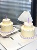 小红书爆款|简约系莫兰迪色系双层小奶油蛋糕 蜡烛颜色随机 商品缩略图2