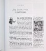 【中商原版】绿山墙的安妮注释版 The Annotated Anne of Green Gables 英文原版 L M Montgomery 大师 经典 文学 商品缩略图5