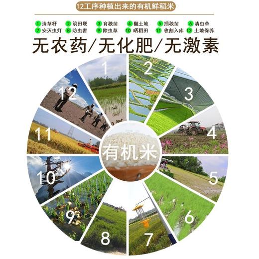 禾园农合有机大米光山蓝鲜稻米5斤贡米一级当季新米主食清香软糯 商品图1