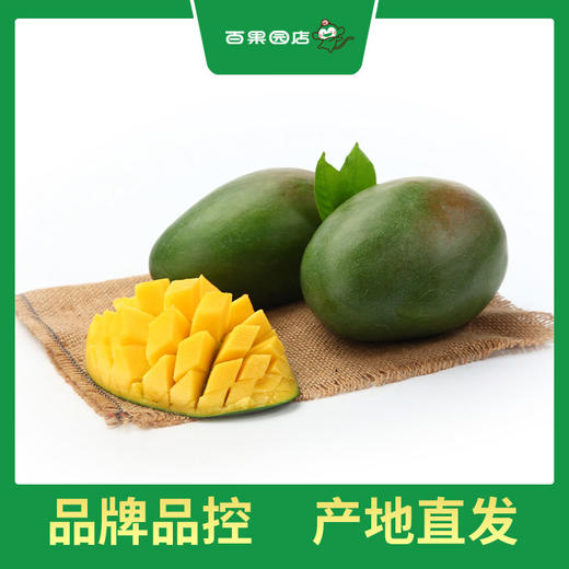 PAGODA百果园 凯特芒果（大果）3斤装（单果550g+） 商品图0