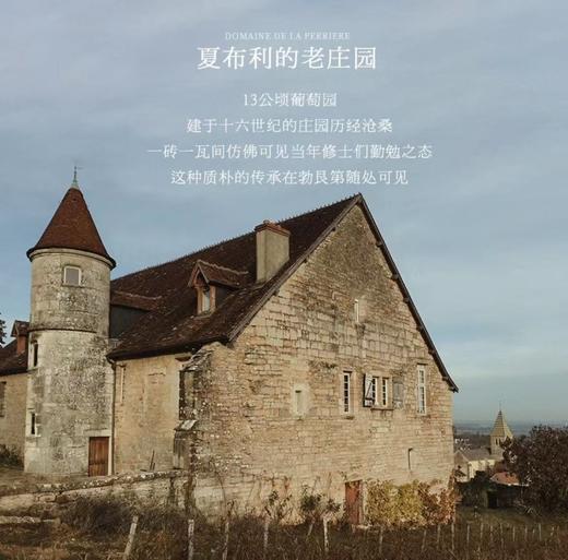【世界遗产名录 勃艮第AOC】皮埃尔庄园小夏布利干白葡萄酒 小夏布利AOC 13%vol 商品图5