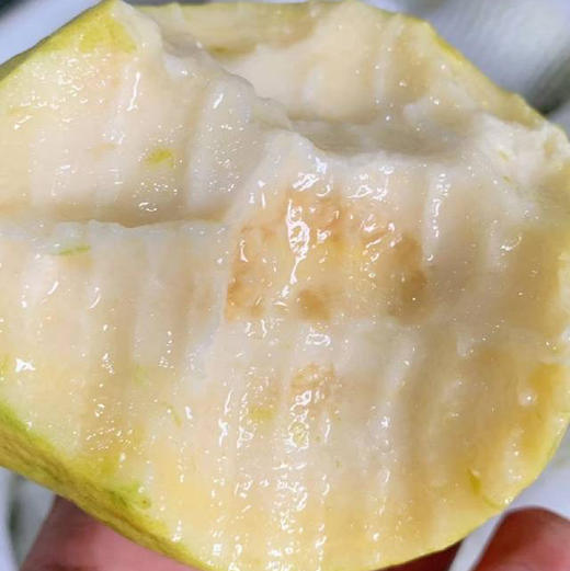 奶油白心芭乐，到手就吃，⁠每咬一口都沦陷其中，口感软糯丝滑，颠覆对传统芭乐口感硬、味道寡淡的认知，富含比橙子还高8倍的VC，低糖低卡，约2.5斤/箱 商品图0