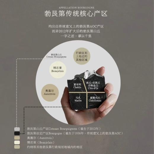 【世界遗产名录 勃艮第AOC】皮埃尔庄园小夏布利干白葡萄酒 小夏布利AOC 13%vol 商品图6