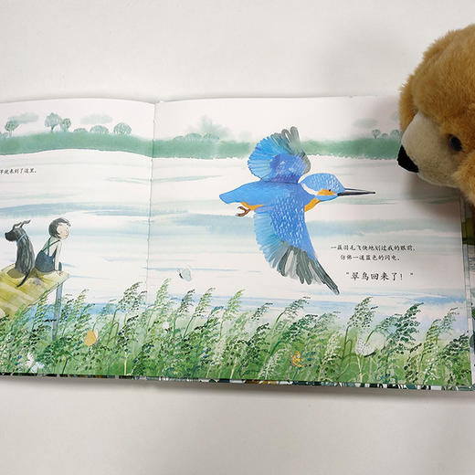 爷爷和翠鸟（人民文学奖得主蒋一谈作序推荐） 商品图6