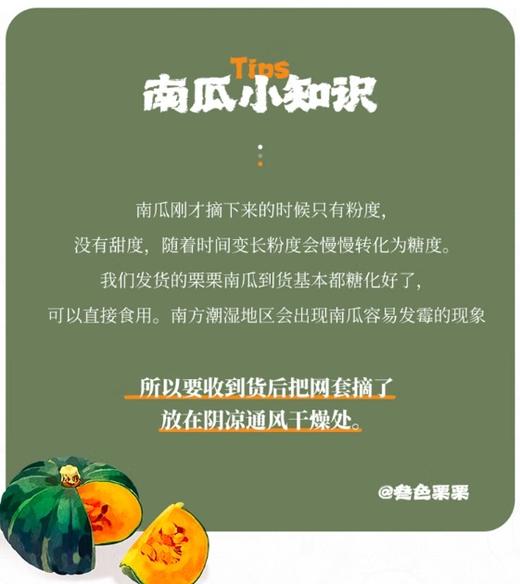 南瓜界的天花板：叁色栗栗南瓜，比贝贝南瓜还好吃，自带板栗的香甜，比鸡蛋黄还有粉糯，能吃出蟹黄味儿的南瓜。 商品图4