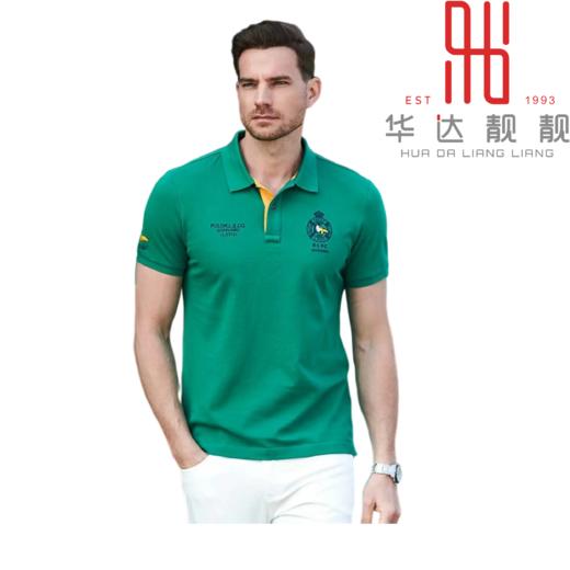 男装2024春夏新品休闲POLO翻领T恤2219-7715▲ 商品图0
