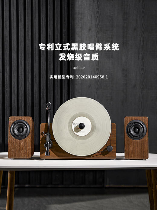 Fennessy/梵尼诗 HiFi立式分体黑胶唱片机 lp发烧电唱机留声机 客厅蓝牙音箱 商品图3