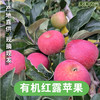 【新品】有机红露苹果 商品缩略图0