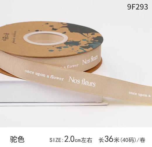 2.0罗纹英文字母素色丝带（A级） 商品图3