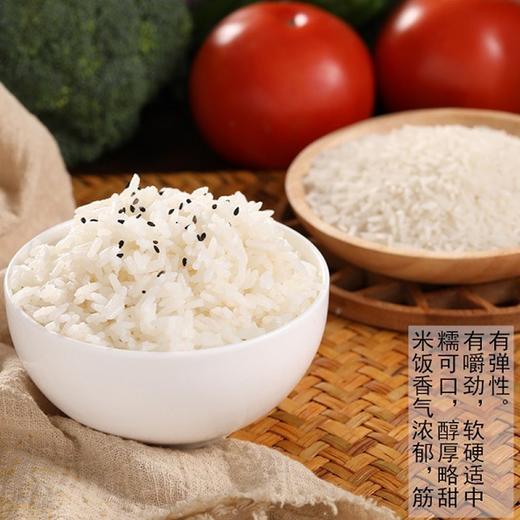 禾园农合有机大米光山蓝鲜稻米5斤贡米一级当季新米主食清香软糯 商品图3