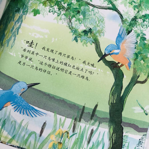 爷爷和翠鸟（人民文学奖得主蒋一谈作序推荐） 商品图5