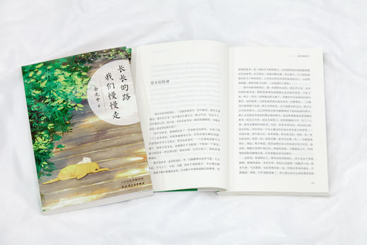 余光中：长长的路，我们慢慢走 商品图4