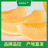 PAGODA百果园 金红宝蜜瓜7斤两粒普通装（大果，单果重≥1.75㎏） 商品缩略图0