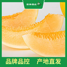 PAGODA百果园 金红宝蜜瓜7斤两粒普通装（大果，单果重≥1.75㎏）