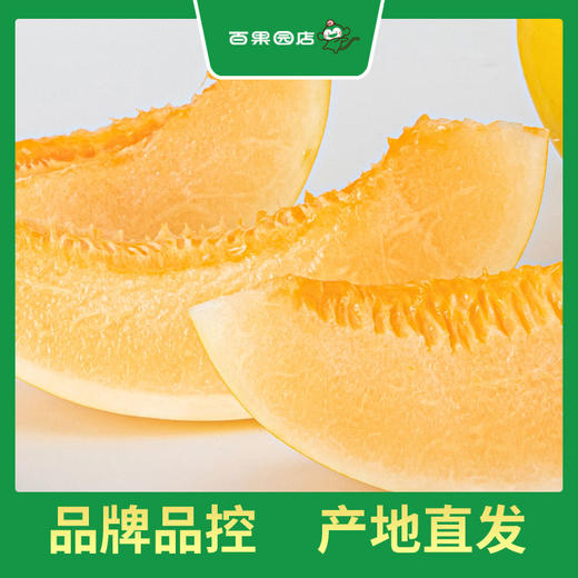 PAGODA百果园 金红宝蜜瓜7斤两粒普通装（大果，单果重≥1.75㎏） 商品图0