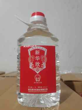 新华欣G3（1.5L）33壶
