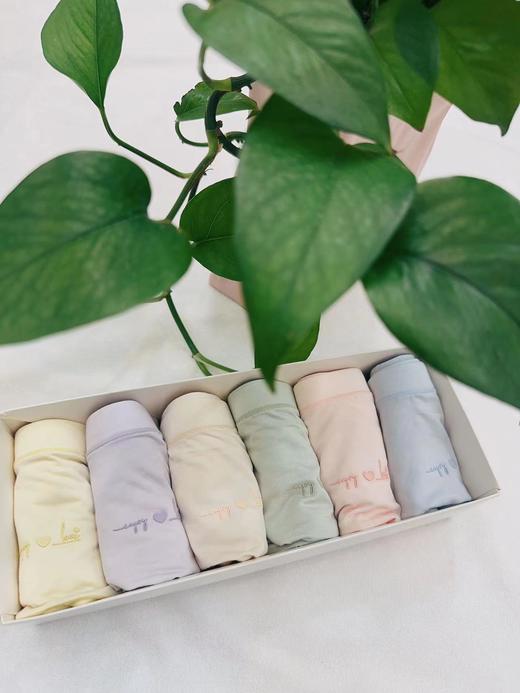 特惠 竹纤维女士爱心抗菌内裤6条礼盒装 商品图0