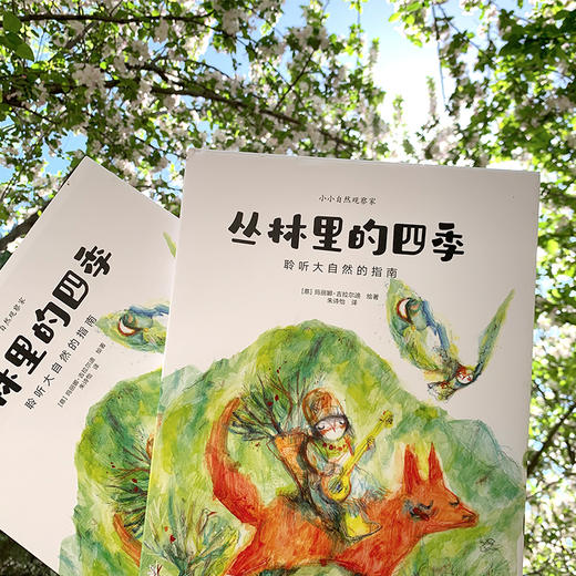 自然科普类绘本：丛林里的四季+一粒种子中的世界 商品图7