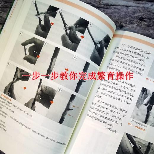果树繁育一本通 商品图4