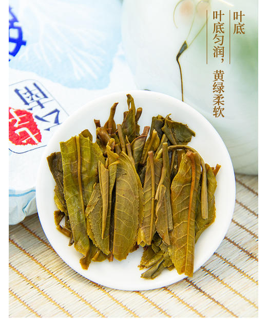 中粮-中茶2023年中茶老树普洱系列 树叶底纹蓝普洱生茶357g/饼/干仓直发 商品图3