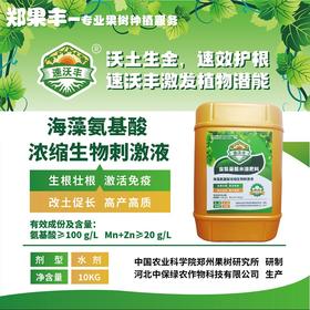 速沃丰生根壮根海藻氨基酸肥