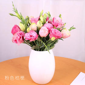 【佳海花业】洋桔梗  粉色 四合一（700-800g） 颜色深浅略有差异 以实物为准 云南基地发货（价格已包含包装费用） 运费以实际为准，多退少补。