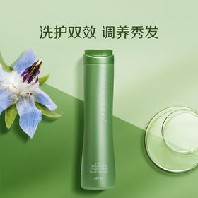 【预售 急单慎拍】安利丝婷®净护调理二合一洗发露280ml
