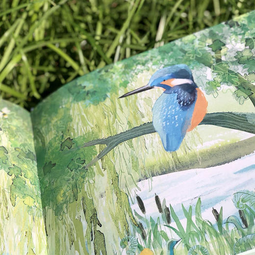 爷爷和翠鸟（人民文学奖得主蒋一谈作序推荐） 商品图2