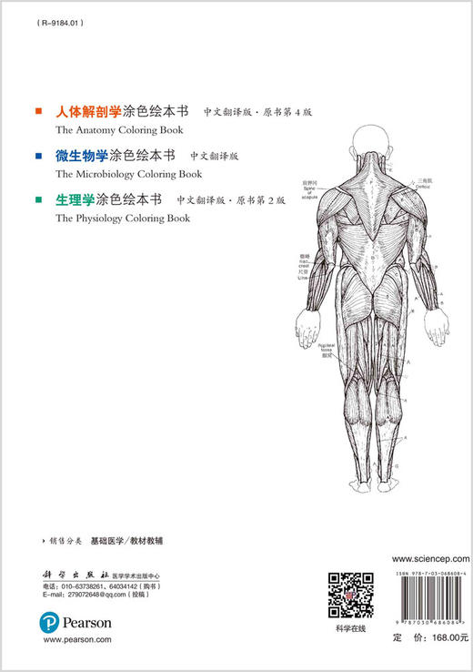 人体解剖学涂色绘本书 商品图1