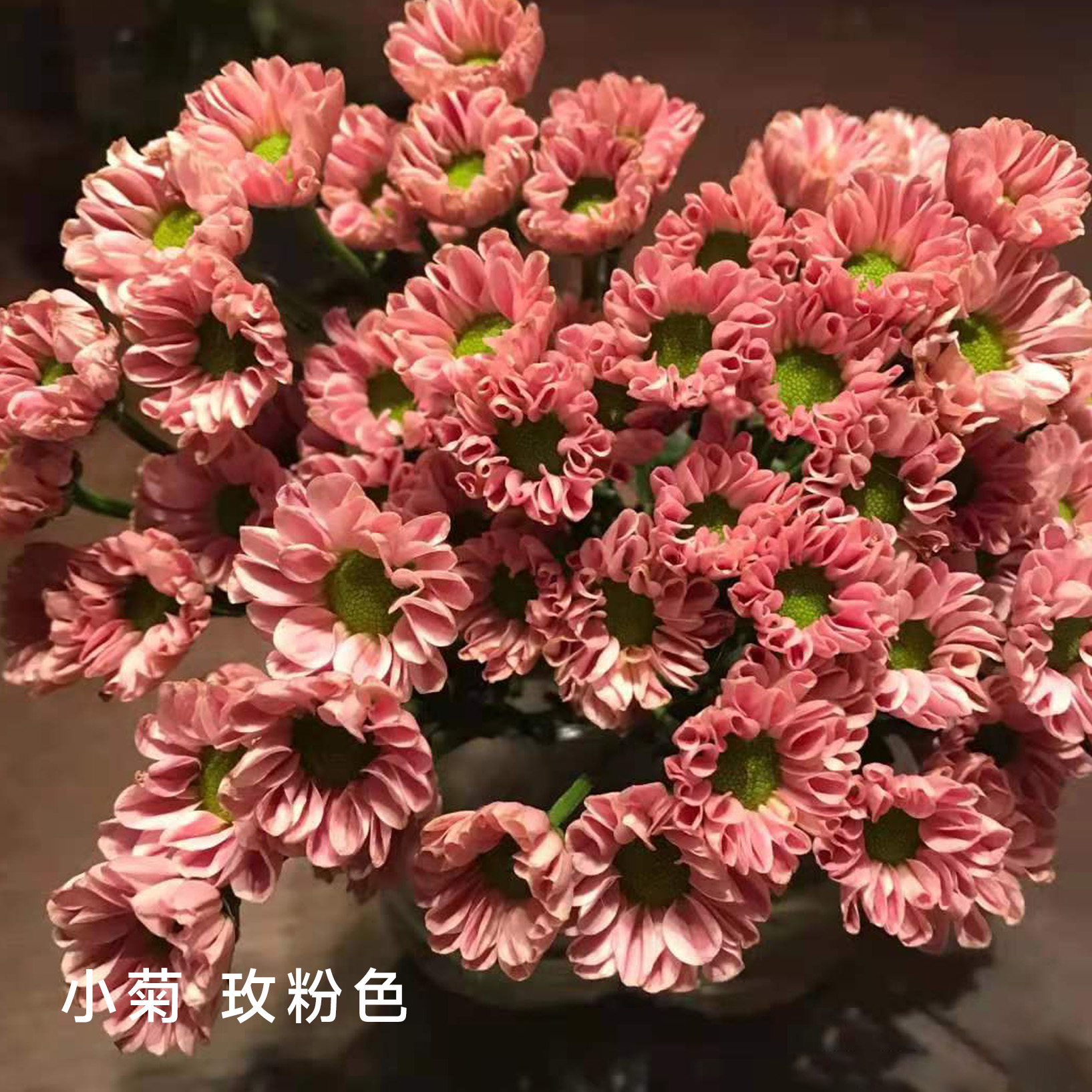 小菊  玲珑粉 10支/扎 颜色深浅略有差异 以实物为准 云南基地发货（价格已包含包装费用） 运费以实际为准，多退少补。