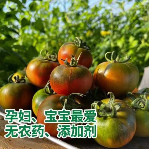 农家有机肥种植的草莓柿子铁皮柿子，正宗碱地柿子，黄金酸甜比，味道非常正宗是儿时的味道！4斤/份 商品图2