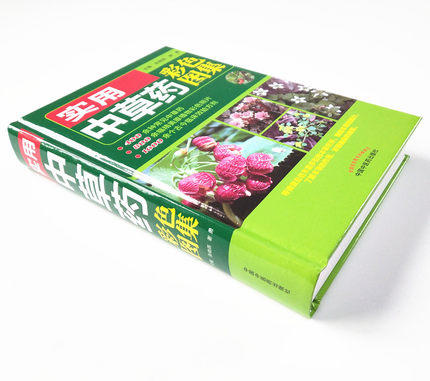 实用中草药彩色图集【张晓燕  谢勇 】 商品图4