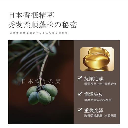 浅香扁柏氨基酸洗发水500g 商品图2